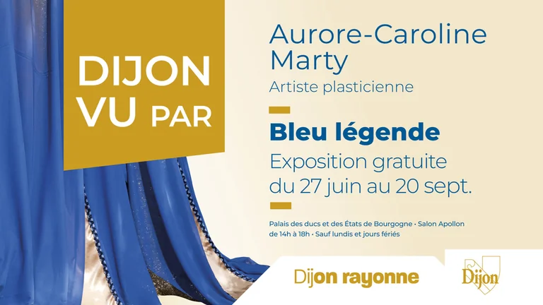 À Dijon, une légende bleue transforme les monuments