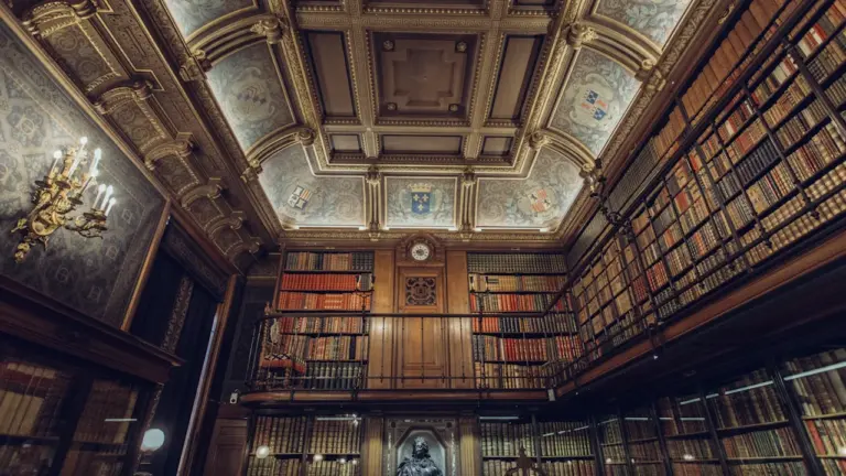 À Metz, les usagers peuvent peser sur les bibliothèques: les informations pratiques