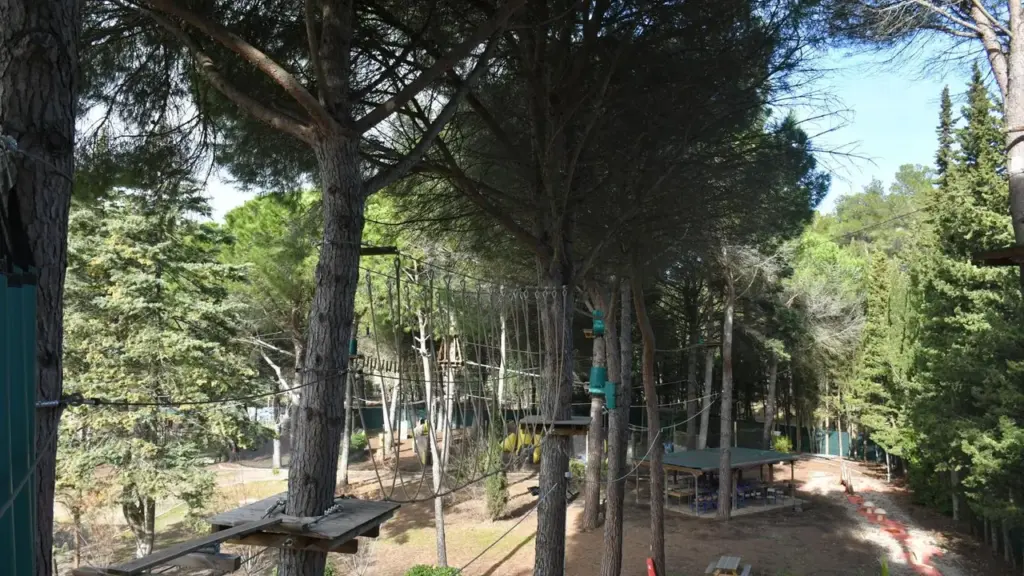 Parcours d'accrobranche avec des plateformes en bois suspendues entre de grands arbres forestiers.