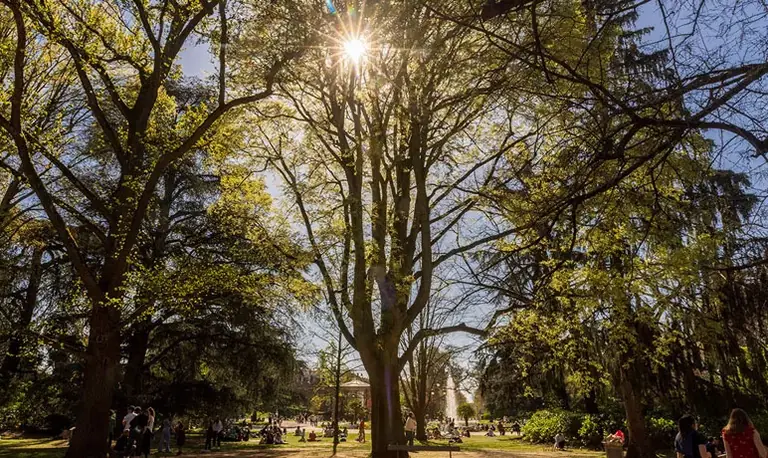 À Toulouse, les sorties au parc rattrapées par l’alerte météo