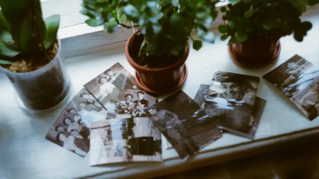 Photos de famille anciennes posées sur un rebord de fenêtre avec des plantes.