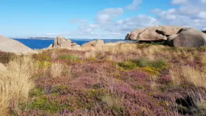 Paysage côtier breton typique avec rochers et végétation sauvage en bord de mer.