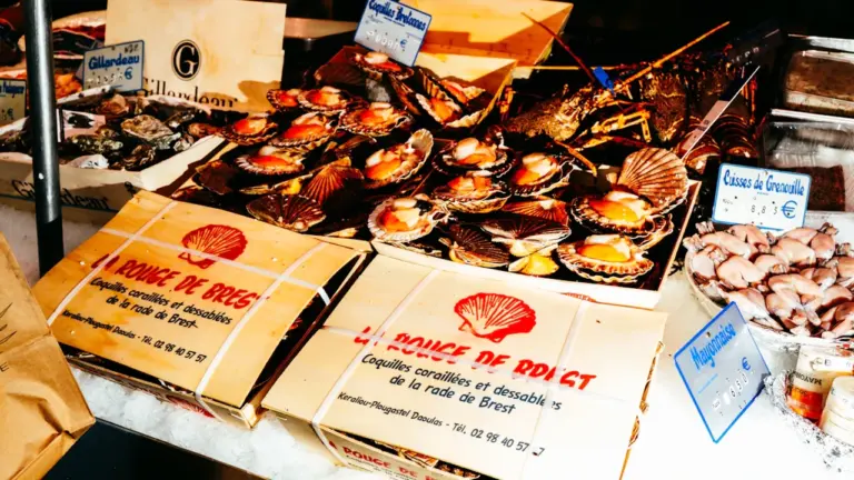 Plateaux de coquilles Saint-Jacques fraîches sur l'étal d'un marché brestois.
