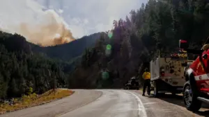 Panache de fumée au-dessus d'une forêt avec un véhicule de secours sur la route.