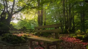 À Fontenay-aux-Roses, où se mettre au frais cet été