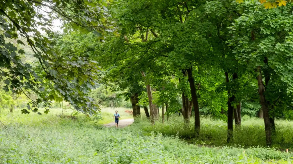À Massy, des parcs fermés face au risque d’incendie