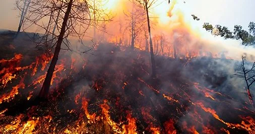Aix-en-Provence : les massifs ferment ce mardi