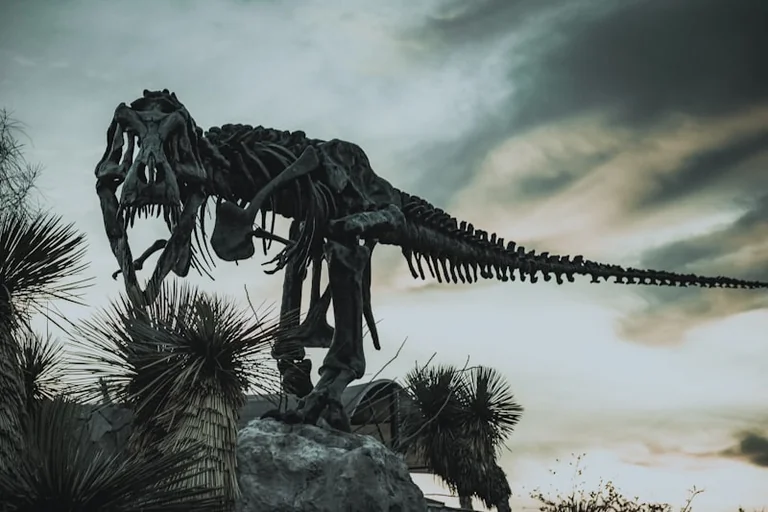Dinosaures, plumes et oiseaux : une exposition gratuite à Elbeuf jusqu’au 21 mars 2027