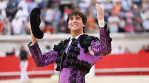 Feria des Vendanges à Nîmes : cinq affiches en trois jours