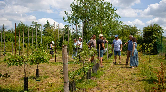 Grand Quevilly : apprenez à tailler vos fruitiers gratuitement