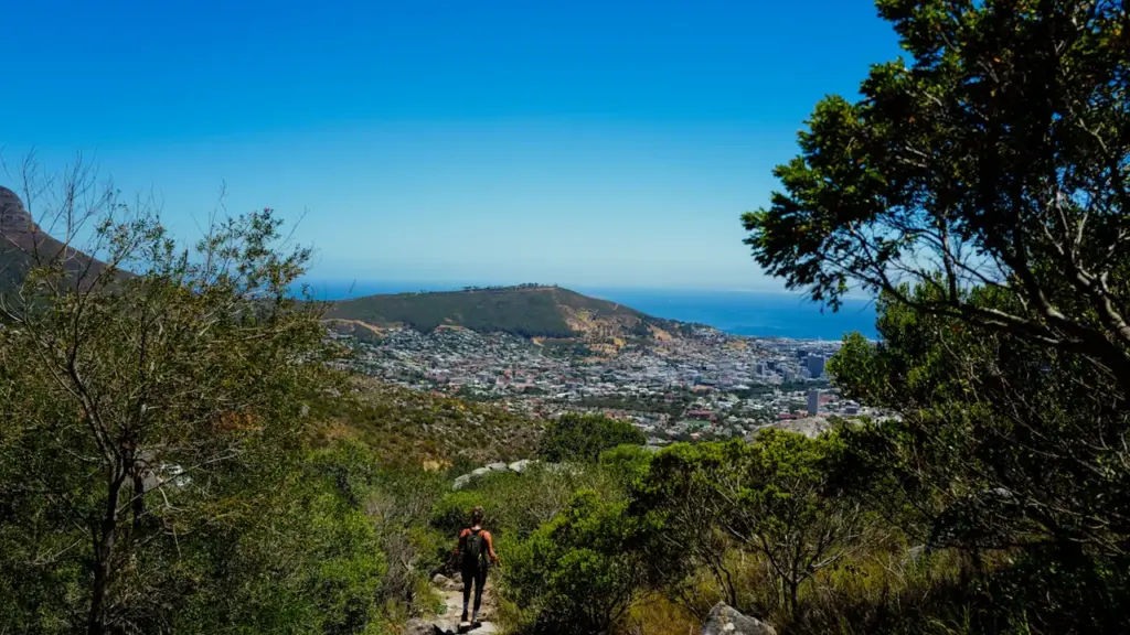 Trail des Hauteurs à Bondy : inscriptions pour octobre