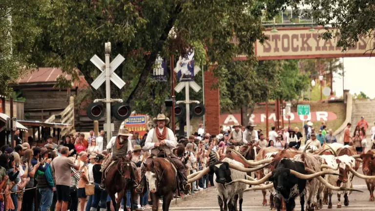 Un été à Ermont passe au Far West, gratuit le 22 juillet