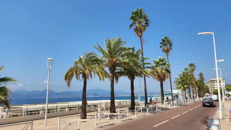 À Cannes, cinq vidéos pour voir la ville quartier par quartier