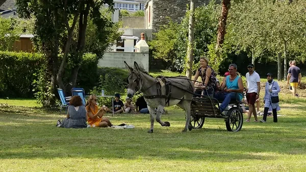 À Cherbourg, les ânes font la fête gratuitement le 23 août