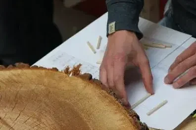 ARBOREACARLO à Bordeaux : l’atelier forêt est gratuit