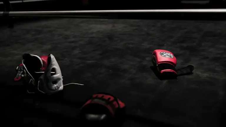Boxe gratuite à La Roche-sur-Yon : rendez-vous le 21 août: ce qu’il faut retenir