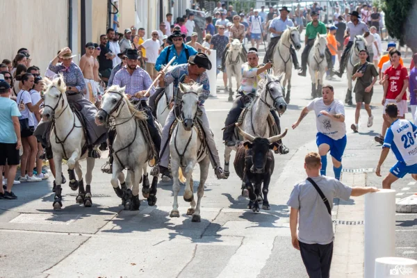 Fêtes votives : le programme dans l'Hérault du 12 au 18 août