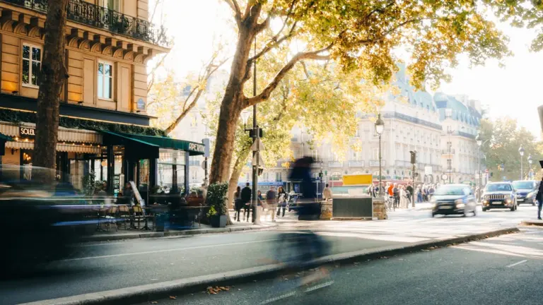 Nice : Wilding gratuit le 19 août à 13h, à la Maison de l’Environnement