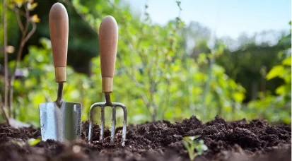 « Zoom sur les aromates » gratuit à Grand Quevilly lundi