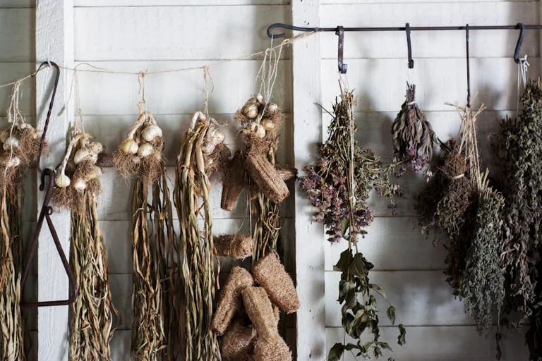 « Zoom sur les aromates » gratuit à Grand Quevilly lundi
