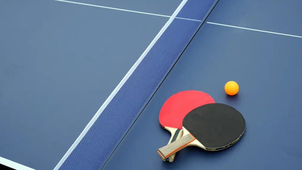 Deux raquettes de tennis de table sur une table bleue professionnelle.