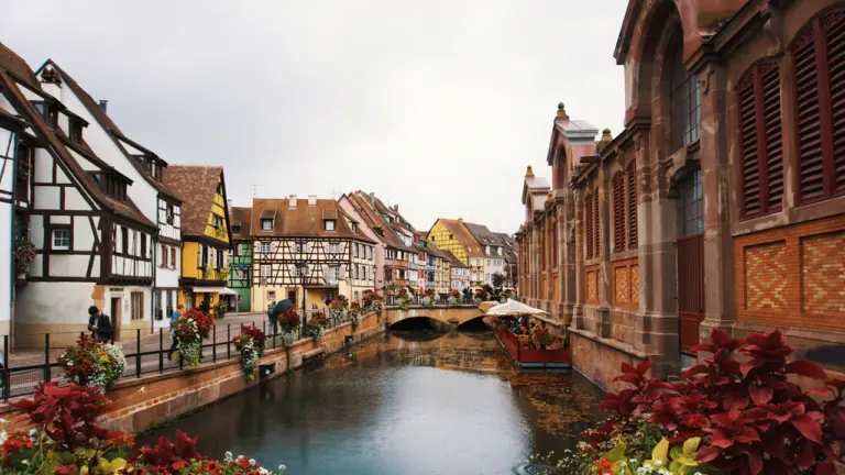 Colmar : les associations ont un nouveau rendez-vous en ligne