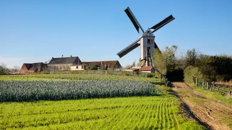 Épinal : visites et spectacles gratuits pour les Journées du patrimoine
