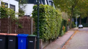 Bacs dégradés à Mulhouse : vos déchets ramassés en sacs