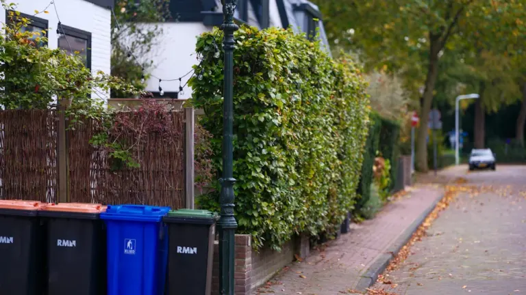 Bacs dégradés à Mulhouse : vos déchets ramassés en sacs