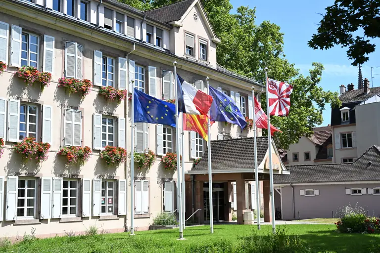 Bacs dégradés à Mulhouse : vos déchets ramassés en sacs