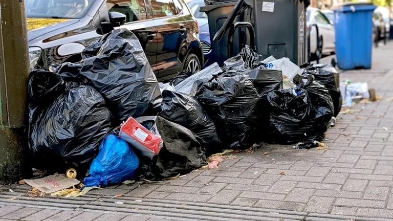 Bacs dégradés à Mulhouse : vos déchets ramassés en sacs